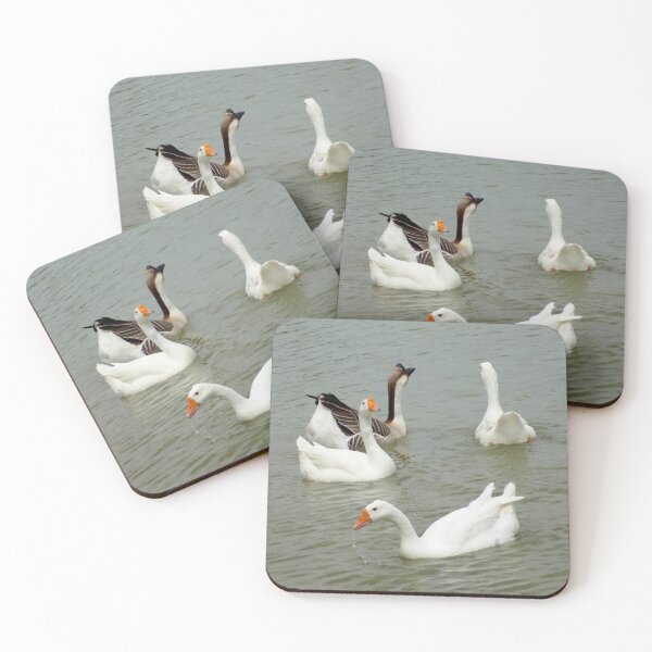 Item preview, Four Chinese Geese (Anser cygnoides) designed and sold by Inuyasha907.