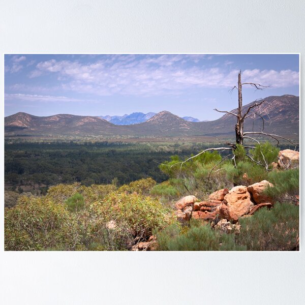 Item preview, Wilpena Pound - Flinders Ranges designed and sold by pbclarke.