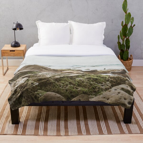 Item preview, Seal Napping in La Jolla, San Diego designed and sold by Rebecca Li.