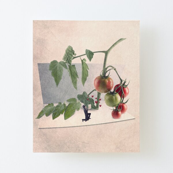 tomatoes illustration Canvas Mounted Print