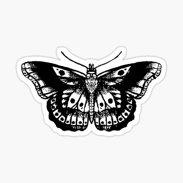 Moth Sticker Decal Car Bumper Sticker Harry Styles Moth Sticker TPWK ...