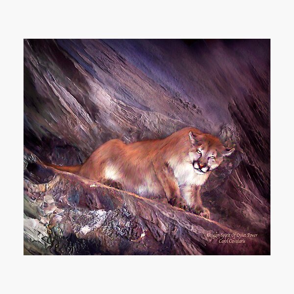 Item preview, Cougar - Spirit Of Quiet Power designed and sold by Carol  Cavalaris.