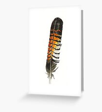 Red-tailed Black Cockatoo Feather Greeting Card