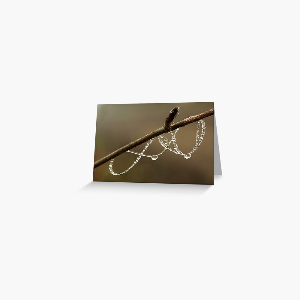 Item preview, Greeting Card designed and sold by steppeland.
