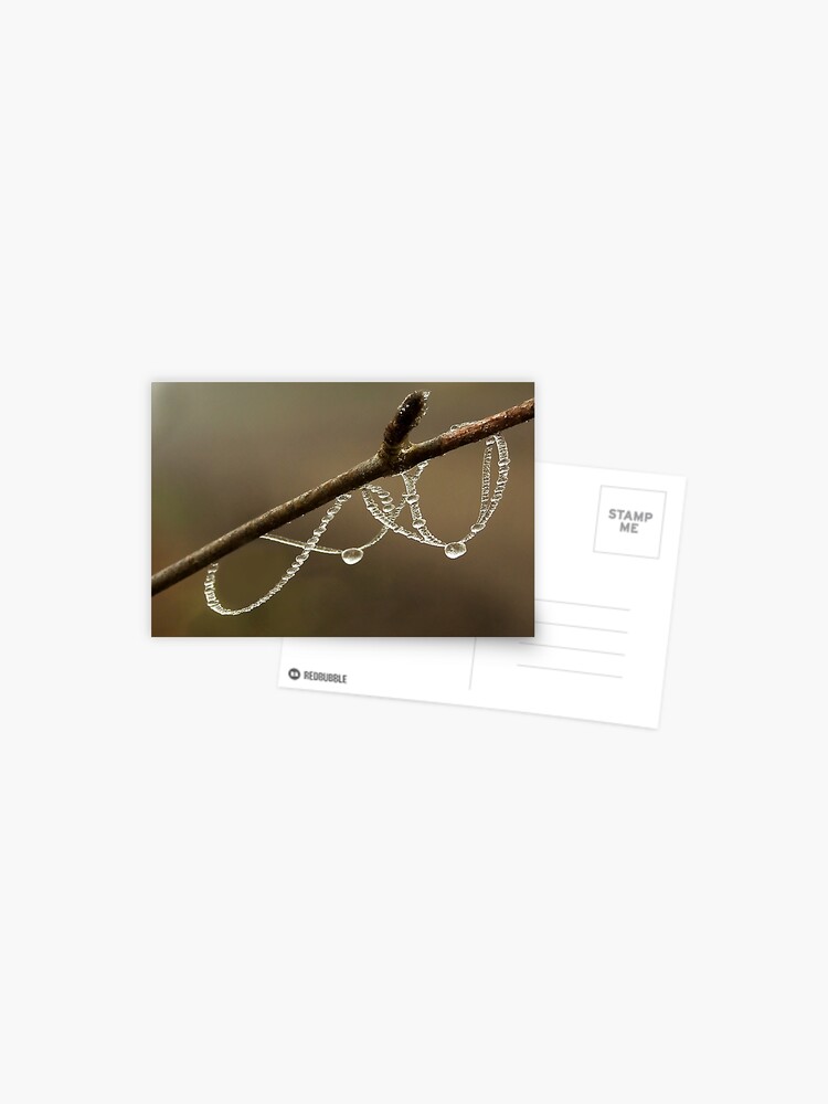 Thumbnail 1 of 2, Postcard, Necklace of icy pearls designed and sold by steppeland.
