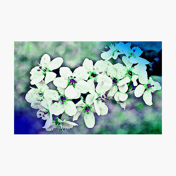 Item preview, Brad Blooms - Watercolor designed and sold by PhotoMom.