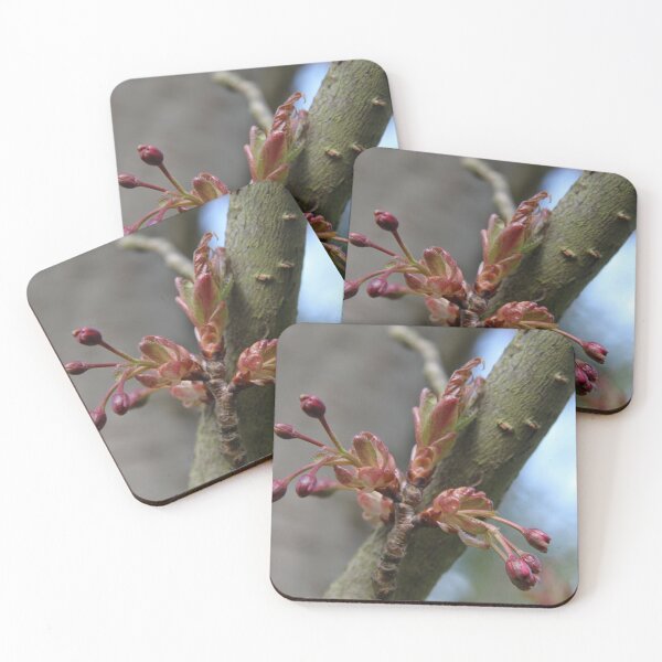 Item preview, Early spring cherry tree pink bloom	 designed and sold by EstelleRossetti.