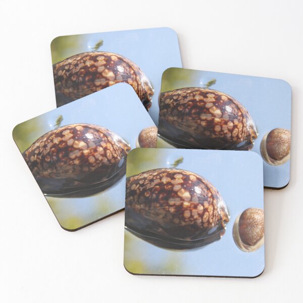 Item preview, Cypraea tirgirs expensive gastropod mollusk spoted shell	 designed and sold by EstelleRossetti.