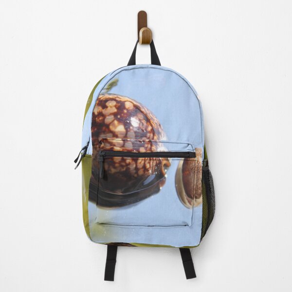 Item preview, Cypraea tirgirs expensive gastropod mollusk spoted shell designed and sold by EstelleRossetti.