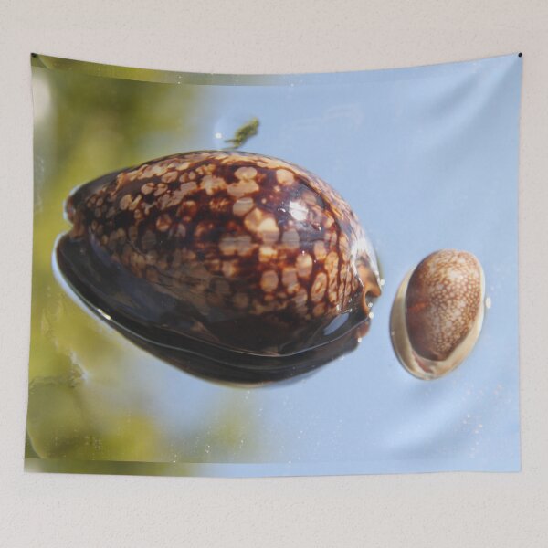 Item preview, Cypraea tirgirs expensive gastropod mollusk spoted shell	 designed and sold by EstelleRossetti.