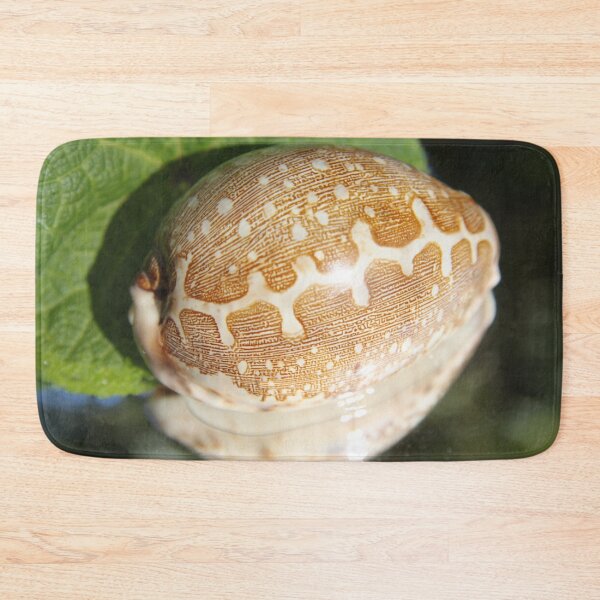 Item preview, Pacific shell designed and sold by EstelleRossetti.