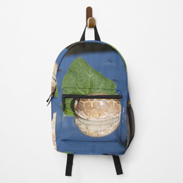 Item preview, Pacific shell designed and sold by EstelleRossetti.