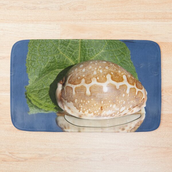 Item preview, Pacific shell designed and sold by EstelleRossetti.
