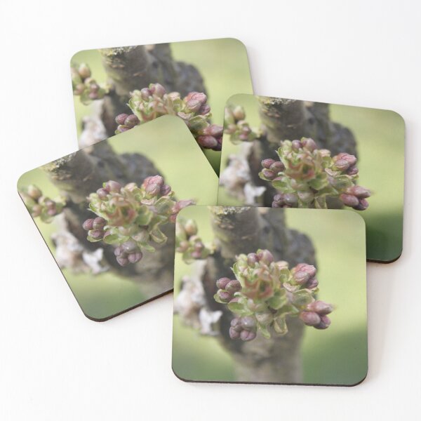 Item preview, Early spring cherry tree pink bloom	 designed and sold by EstelleRossetti.