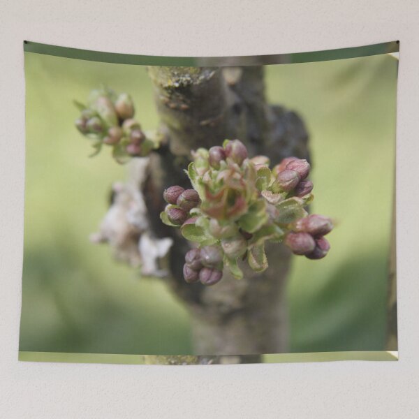 Item preview, Early spring cherry tree pink bloom	 designed and sold by EstelleRossetti.