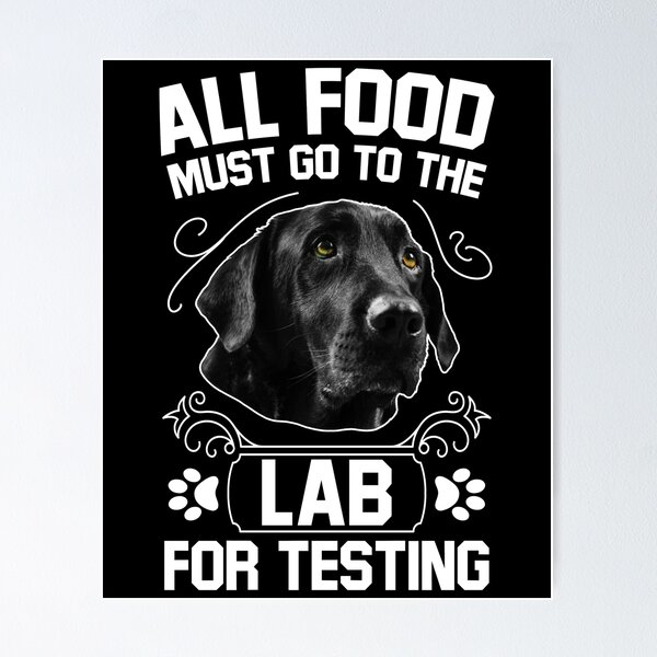 Artikelvorschau, Lustige Labrador Besitzer Witz Geschenk Design Lab zum Testen von Grafik entworfen und verkauft von Lisbob.