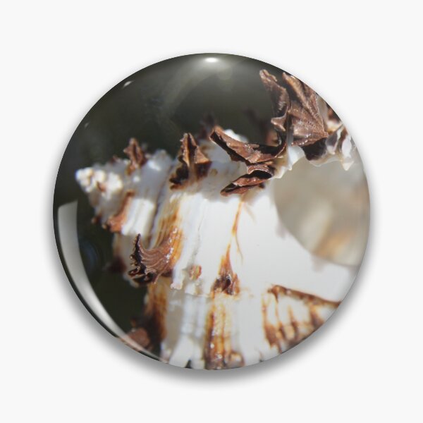 Item preview, Brown and white murex ocean empty spiky shell	 designed and sold by EstelleRossetti.