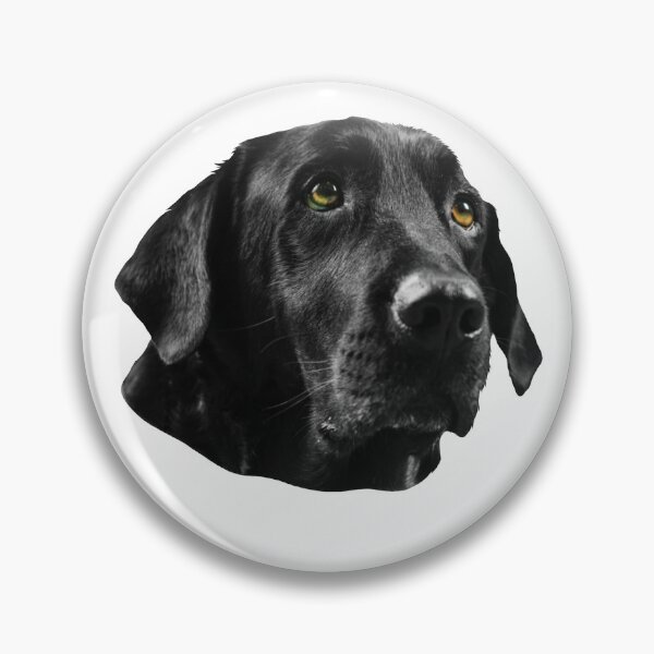 Item preview, Funny Labrador Owner Joke Gift Design Lab For Testing graphic designed and sold by Lisbob.