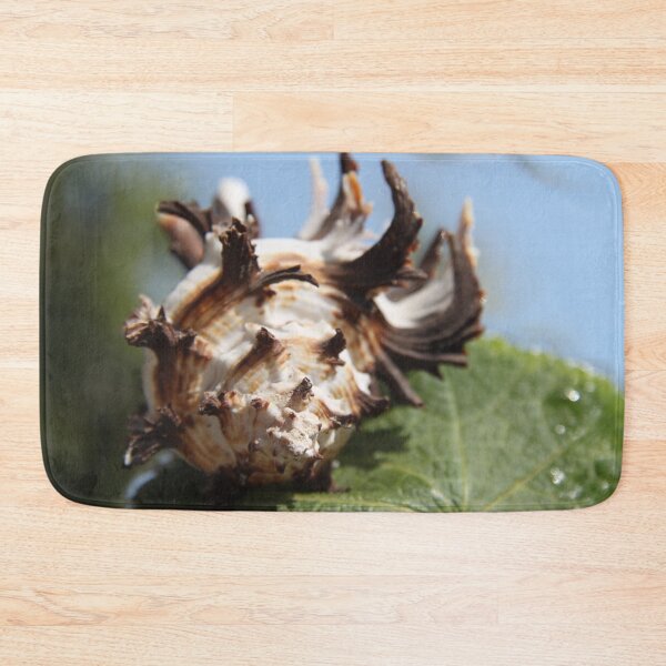 Item preview, Brown and white murex ocean empty spiky shell designed and sold by EstelleRossetti.