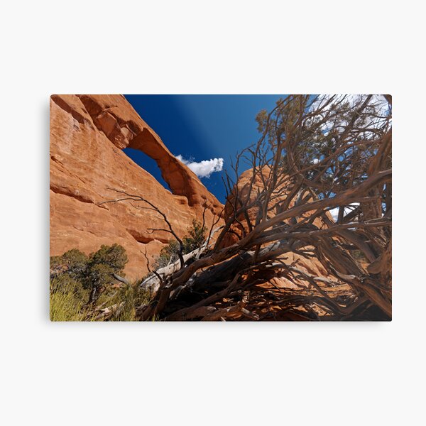 Skyline Arch Metal Print