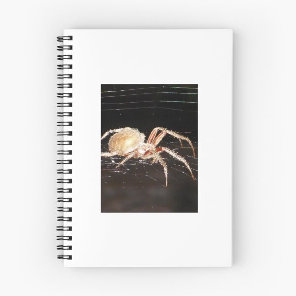 Item preview, Resting Spider in the Night designed and sold by LittleCsDesigns.