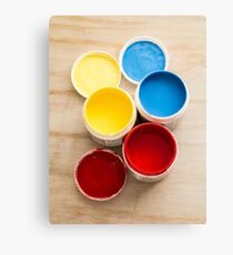 Paint Pots Canvas Print