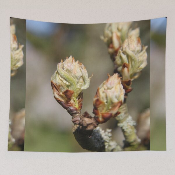 Item preview, Orchard pear tree white spring blossom	 designed and sold by EstelleRossetti.