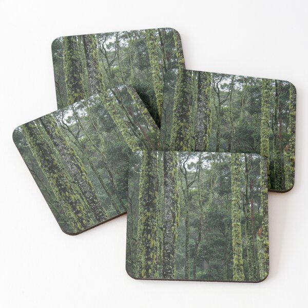 Item preview, Moss covered Myrtle Beech - The Blue Tier, Tasmania.  designed and sold by Marilyn Harris.