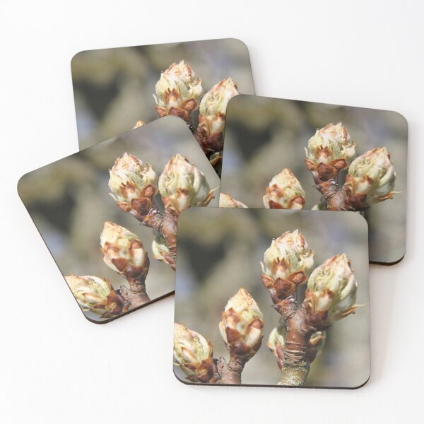 Item preview, Orchard pear tree white spring blossom	 designed and sold by EstelleRossetti.