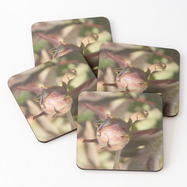 Item preview, Peony bud spring flower blossom designed and sold by EstelleRossetti.