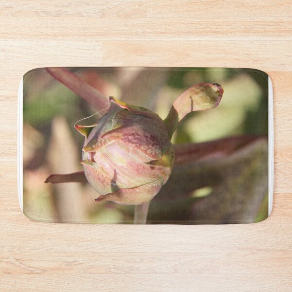 Item preview, Peony bud spring flower blossom designed and sold by EstelleRossetti.