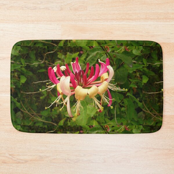 Item preview, Lonicera periclymenum - Common Honeysuckle designed and sold by lezvee.