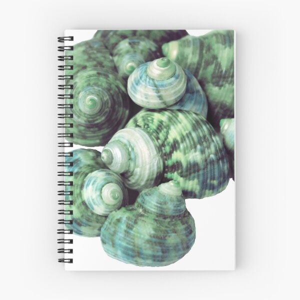 Item preview, Sea Shells designed and sold by Sketchbrooke.