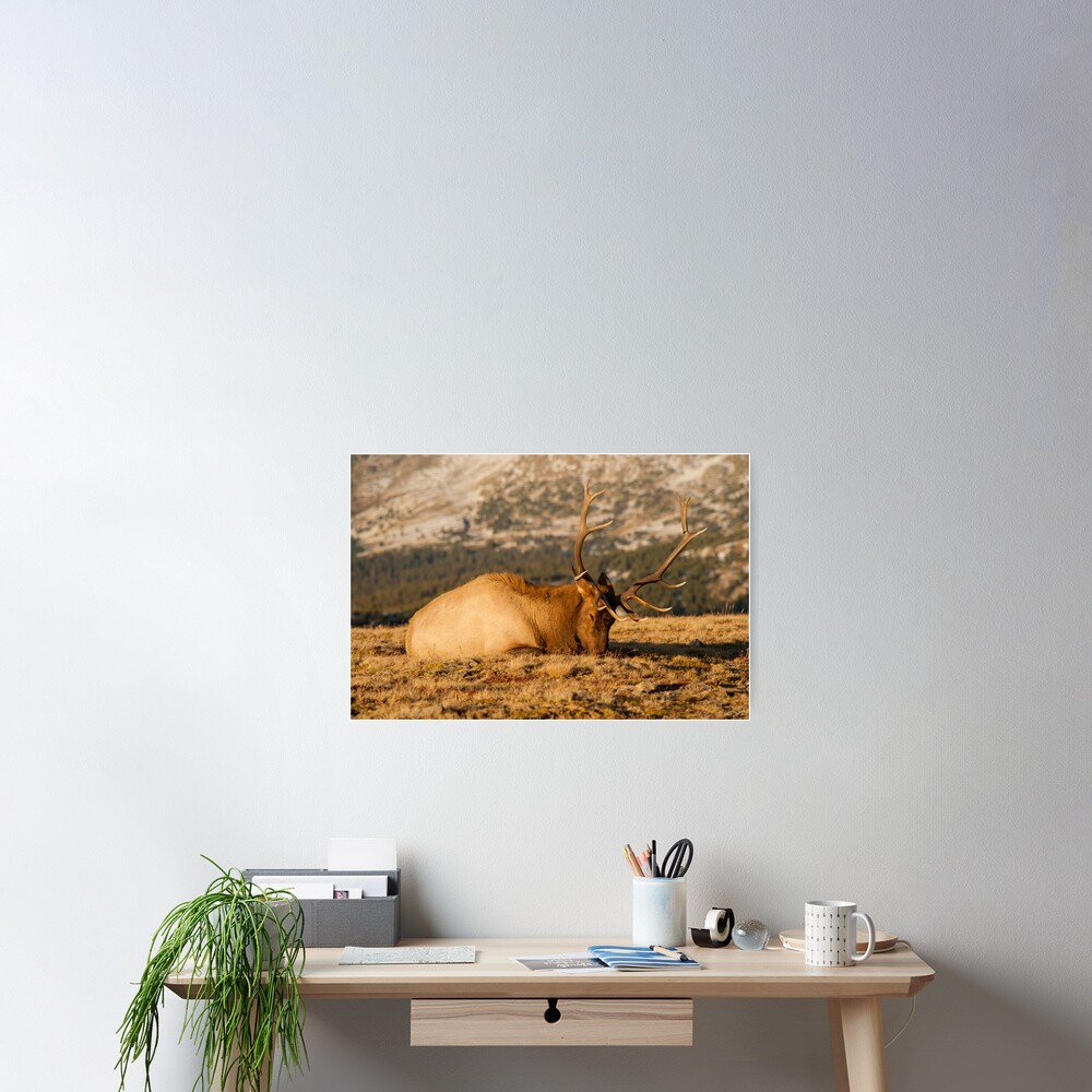 Item preview, Poster designed and sold by nikongreg.