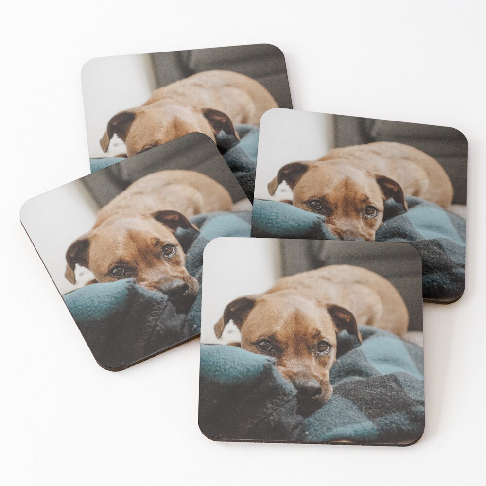Item preview, Coasters (Set of 4) designed and sold by mdev05.