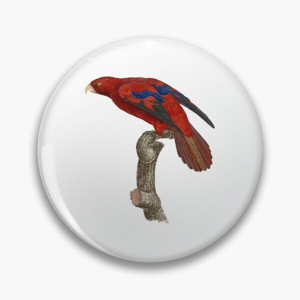 Item preview, Red lory designed and sold by Photopicture.