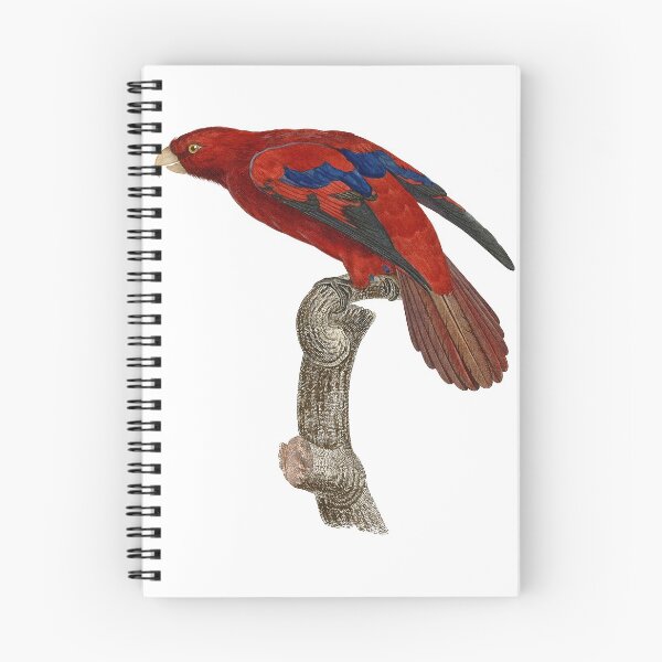 Item preview, Red lory designed and sold by Photopicture.