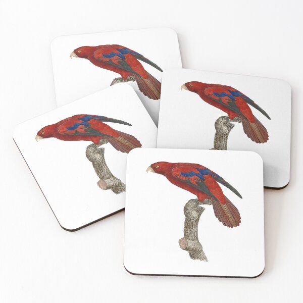 Item preview, Red lory designed and sold by Photopicture.