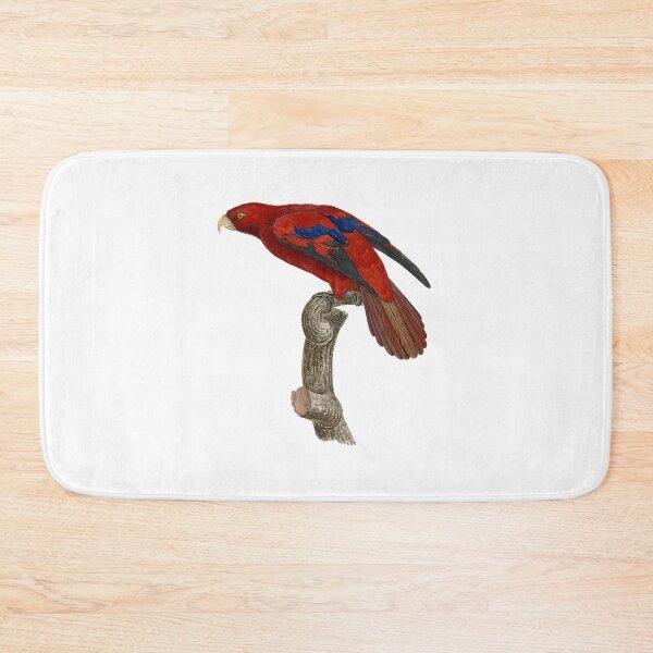 Item preview, Red lory designed and sold by Photopicture.