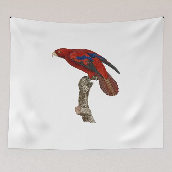 Item preview, Red lory designed and sold by Photopicture.
