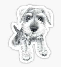 Schnozz Sticker