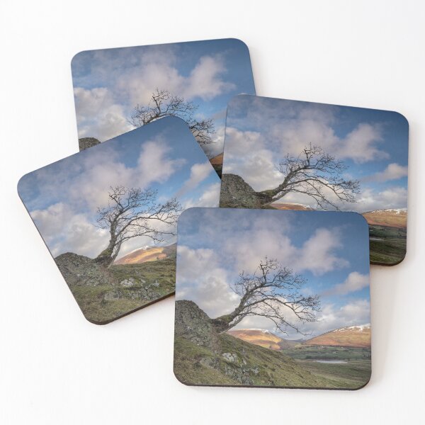 Item preview, Low Rigg Lone Tree designed and sold by Phil Buckle.
