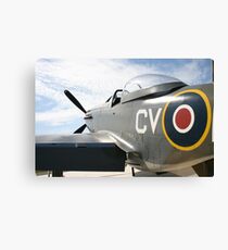 Mustang Canvas Print