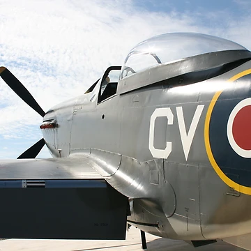 Artwork thumbnail, Mustang by Shaun O'Malley
