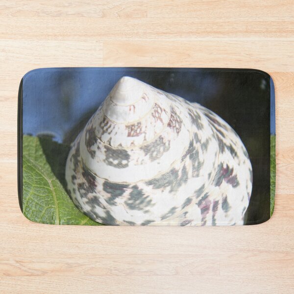 Item preview, Exoskeleton gastropod invertebrate trochus shell	 designed and sold by EstelleRossetti.