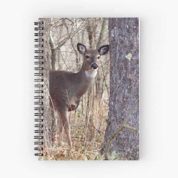 Item preview, Doe  designed and sold by Thomasyoung.