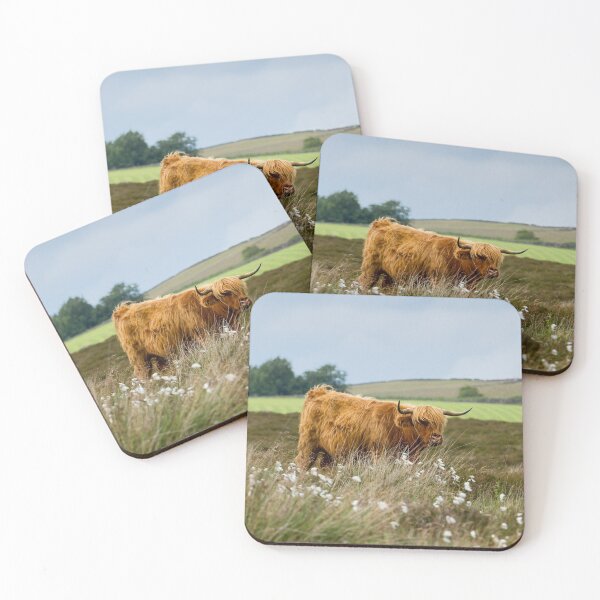 Item preview, Cottongrass and Coo designed and sold by Jane Stanley Photography.