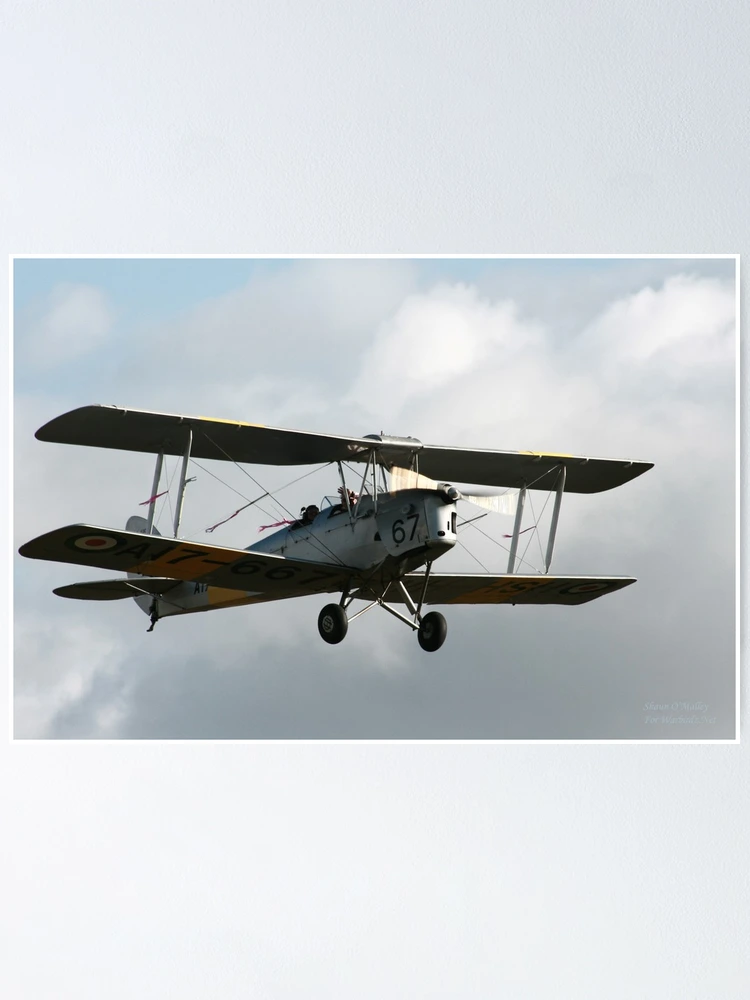 Thumbnail 1 of 3, Poster, Tiger Moth designed and sold by Shaun O'Malley.