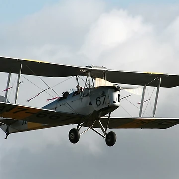 Artwork thumbnail, Tiger Moth by Shaun O'Malley