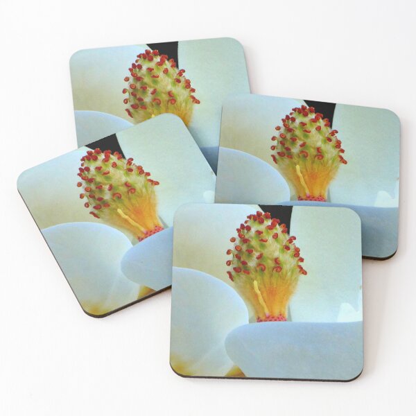 Item preview, Magnolia  designed and sold by angel1.